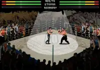 Smash Boxing Screen Shot 4