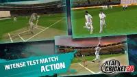 Real Cricket™ 20 Screen Shot 4