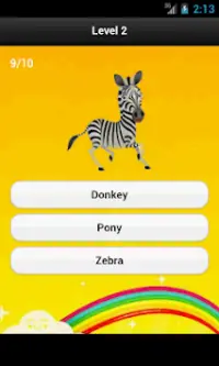 Animal Quiz Screen Shot 4