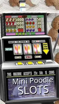 3D Mini Poodle Slots - Free Screen Shot 2