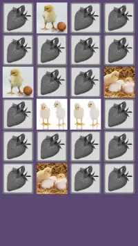Chick Memory Game Screen Shot 1