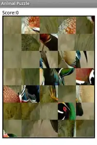 Animal Puzzle Screen Shot 1