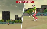 MSD: World Cricket Bash Screen Shot 4