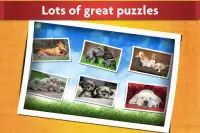 Spel Honden Legpuzzel Kinderen Screen Shot 6