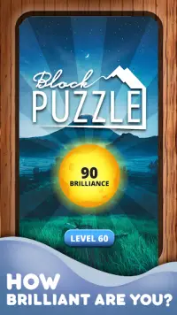 Wood Block Puzzle Game Screen Shot 4