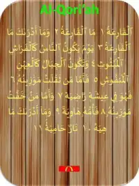 Murottal Al Quran Full Screen Shot 12