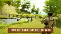 kuş avı simülatörü - ördek avı atış oyunu Screen Shot 1