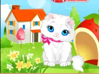 Baby Cat Bath Care Screen Shot 3