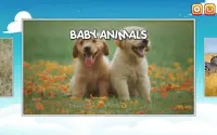 Animals Word Games for kids 10 years free spelling Screen Shot 22