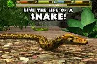 Snake Simulator Screen Shot 0