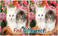 Find 5 Difference : Cats Screen Shot 2