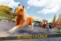 Güzel Midilli At Yarış Oyun 3D Screen Shot 0