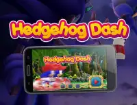Hedgehog Dash 4 Screen Shot 0