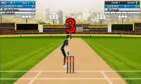 Cricket Hero Challenge 3D 2016 Screen Shot 5