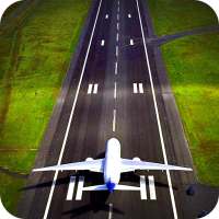 Fly Flight Landing Simulator