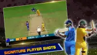 IND vs AUS Cricket Game 2017 Screen Shot 3