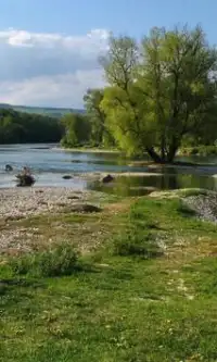 Aare River Jigsaw Puzzles Screen Shot 2