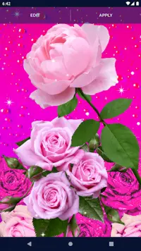 Pink Rose 4K Live Wallpaper Screen Shot 5