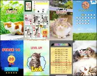 Cats Playing Card Games Screen Shot 2