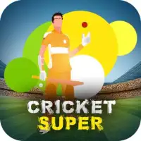 Cricket Super Screen Shot 0