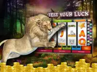 Safari Lion Slot Machine Games - Free Casino APP Screen Shot 2