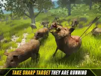 Archery: Animals Hunter Screen Shot 4