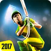 Play Cricket 2017