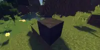 A Block of Charcoal Mod for MCPE Screen Shot 1