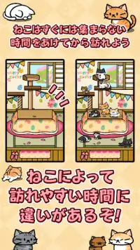 ねこコレクション　コタツねこ　 Screen Shot 4