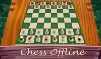 Jugar al maestro de ajedrez Screen Shot 2