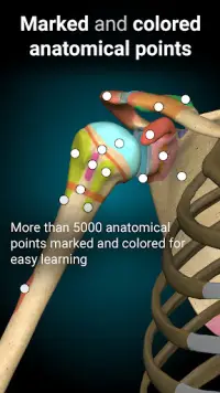 Anatomy Learning - 3D Atlas Screen Shot 2