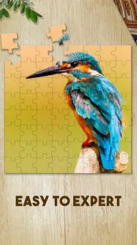 Jigsaw Puzzles Stars HD Screen Shot 2