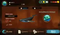 The Humpback Whales Screen Shot 10