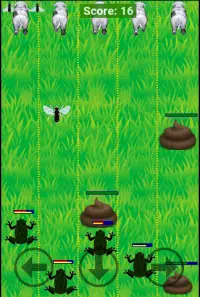 Dung Fly Screen Shot 1