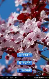 Best Flower game Screen Shot 0