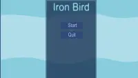 Iron Bird Big World Screen Shot 0
