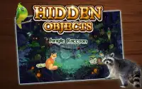 Hidden Object - Jungle Raccoon Screen Shot 0