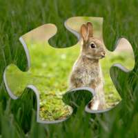Rabbit Jigsaw Puzzles - Animal Jigsaws