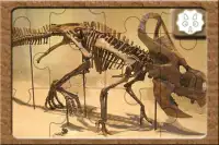 Jigsaw Puzzles Dino Fossils Screen Shot 1