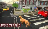 Hund gegen Katze Kampf Spiel Screen Shot 2