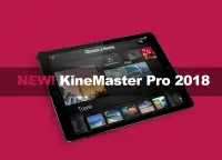 New KineMaster Tips to Pro Editor Screen Shot 2