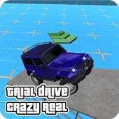 Trial Drive Crazy Real