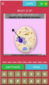Anatomy Online Quiz: Cell and Organelles Screen Shot 2