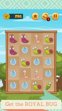 Bug Match, Worms Evolution Screen Shot 4