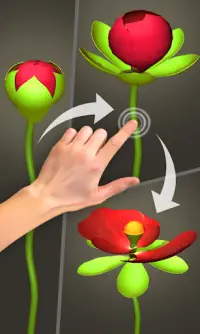 Perfect Baking, Cooking & Blooming! Time Lapse Fun Screen Shot 1