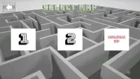 Maze 3D Screen Shot 7