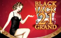 Blackjack 21 Grand Screen Shot 2