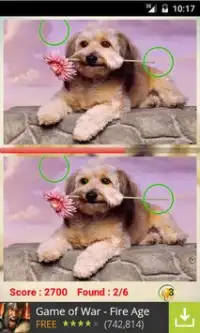 Find Differences Dogs Screen Shot 1