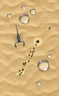 Ant Sandbox Screen Shot 0