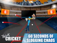 Robot Cricket Screen Shot 8